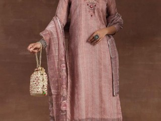 Shop Organza Suits for Women Online - Libas