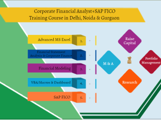 Financial Modelling Training Course in Delhi, 110039. Best Online Live Financial Analyst Training in Patna by IIT Faculty , [ 100% Job in MNC]