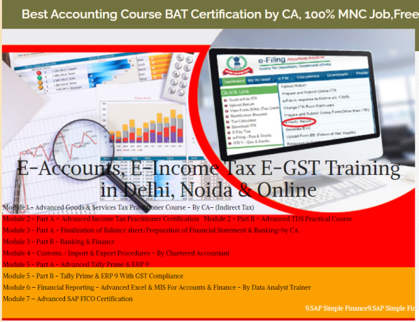 online-accounting-course-in-delhi-110003-with-free-sap-finance-fico-by-sla-consultants-institute-big-0