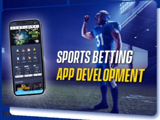 Unlock the Future of Cricket Betting with CricSportz Software Solutions