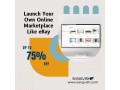 launch-your-own-online-marketplace-like-ebay-small-0