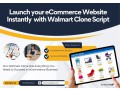 launch-your-own-e-commerce-marketplace-with-our-customizable-walmart-clone-small-0