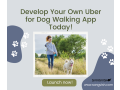 develop-your-own-uber-for-dog-walking-app-today-small-0