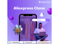 build-your-multivendor-marketplace-aliexpress-clone-small-0