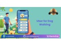 how-to-build-a-dog-walking-app-like-uber-small-0