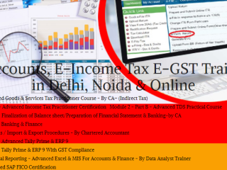 Tally Course in Delhi, 110073, [GST Update 2024] by SLA. GST and Accounting Institute, Taxation and Tally ERP Institute in Delhi, Noida,