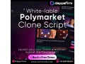 start-your-own-decentralized-prediction-market-today-with-polymarket-clone-script-small-0