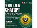 tap-into-ai-markets-effortlessly-with-white-label-chatgpt-clone-software-small-0