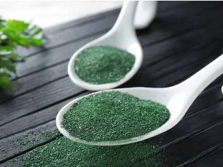 Spirulina Farming Business | Spirulina Industry Trends & Insights