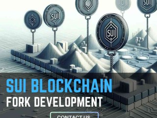 get-a-sui-blockchain-forking-service-from-hivelance