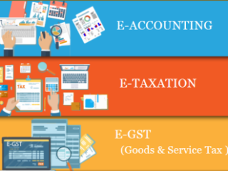 Best Accounting Course in Delhi, "Learn Direct Tax Code 2025" 110088,12th and Graduation by SLA Accounting,